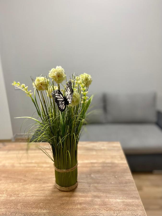 Nalyvaika Lviv Apartments Eksteriør billede